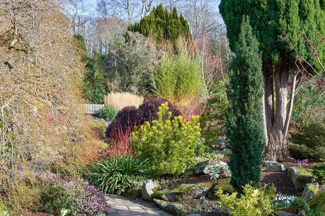 Photo of The Winter Garden Walk at Bodnant Garden, Wales