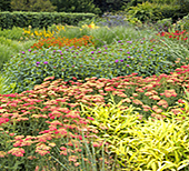 Four Seasons and a Festival