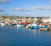 Newlyn harbour