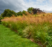 Three West Country Gardens